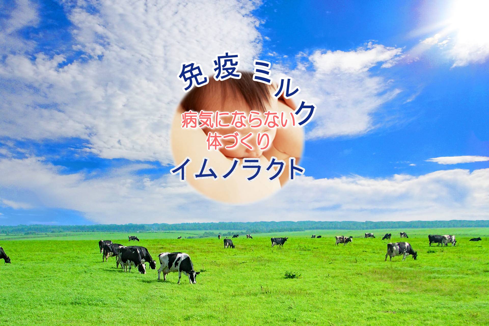 免疫ミルク イムノラクト 免疫ミルク イムノラクト