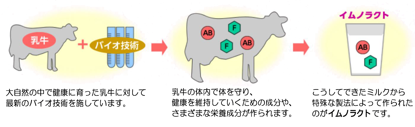 大自然の中で健康に育った乳牛に対して最新のバイオ技術を施しています。乳牛の体内で体を守り、健康を維持していくための成分や、さまざまな栄養成分が作られます。こうしてできたミルクから特殊な製法によって作られたのがイムノラクトです。