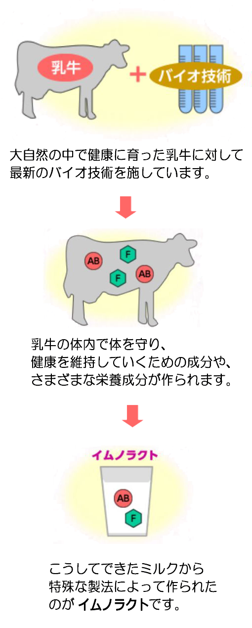 大自然の中で健康に育った乳牛に対して最新のバイオ技術を施して作られたのがイムノラクトです。