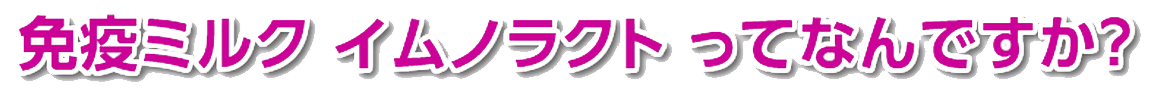 免疫ミルク イムノラクト って何?